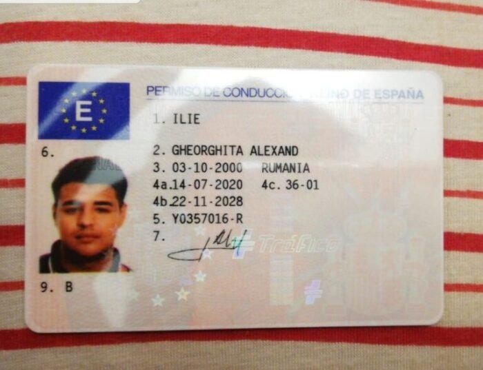 Spanish Driver’s License Online